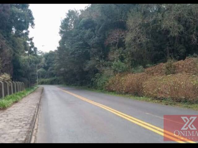 #ONI-2878 - Área para Venda em Curitiba - PR - 3