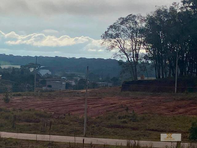 Terreno para Venda em Curitiba - 4
