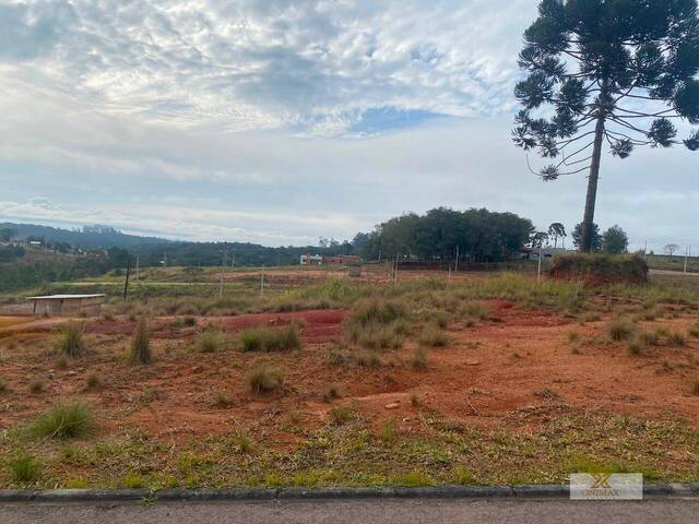 Terreno para Venda em Curitiba - 5