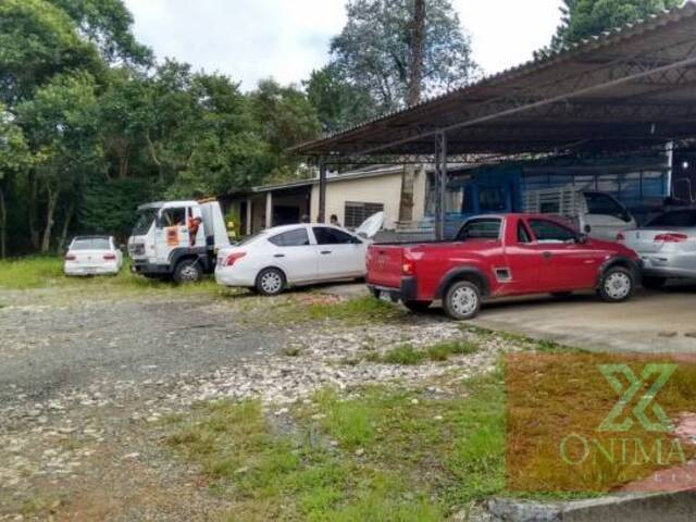 Terreno para Venda em Curitiba - 4
