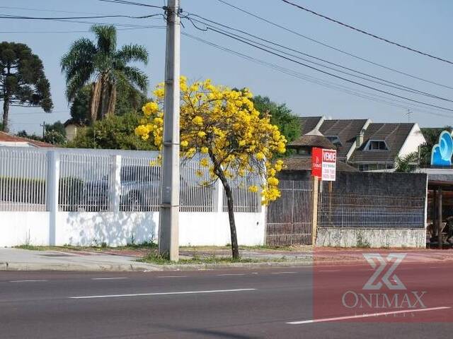 Terreno para Venda em Curitiba - 4